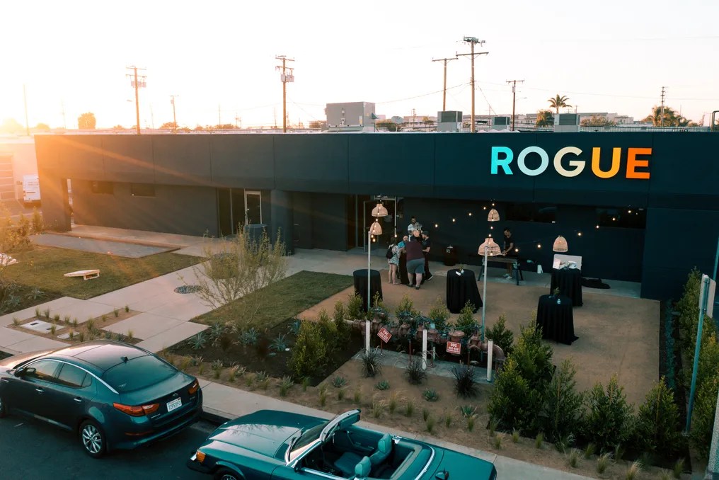 Rogue Collective #9