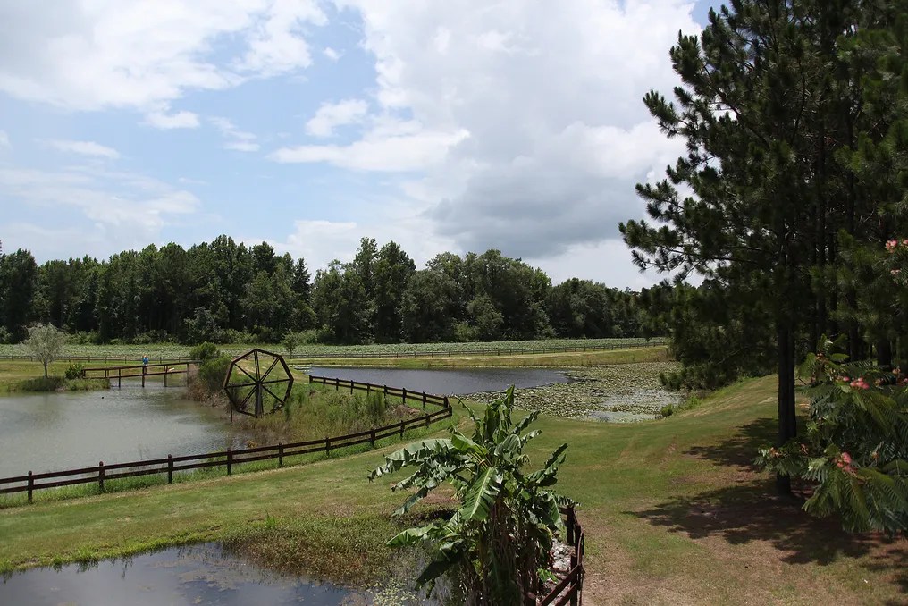 The Lodge, Barney Georgia #12