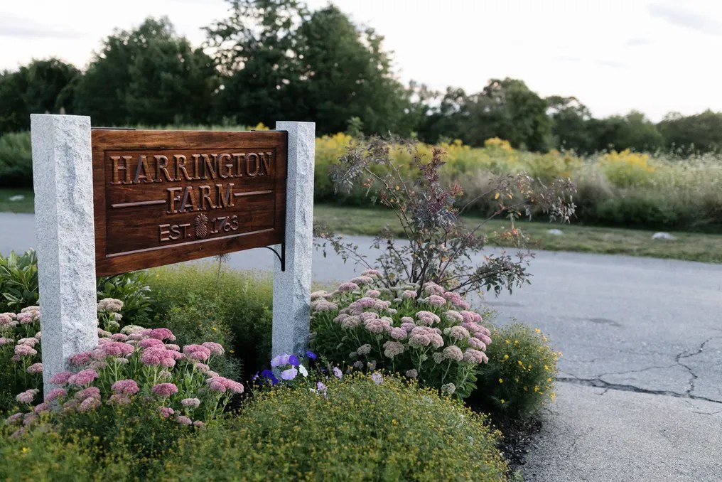 Harrington Farm #16