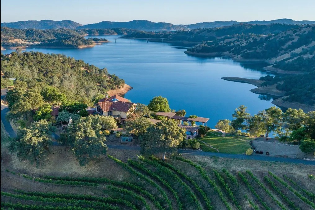 Airola Road Vineyards #2