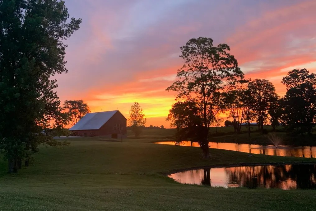 Tall Oaks Barn #16