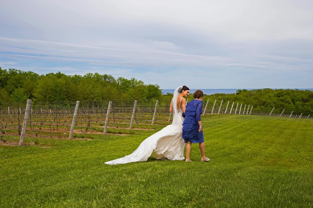 The Ridge at Verterra Vineyards #8