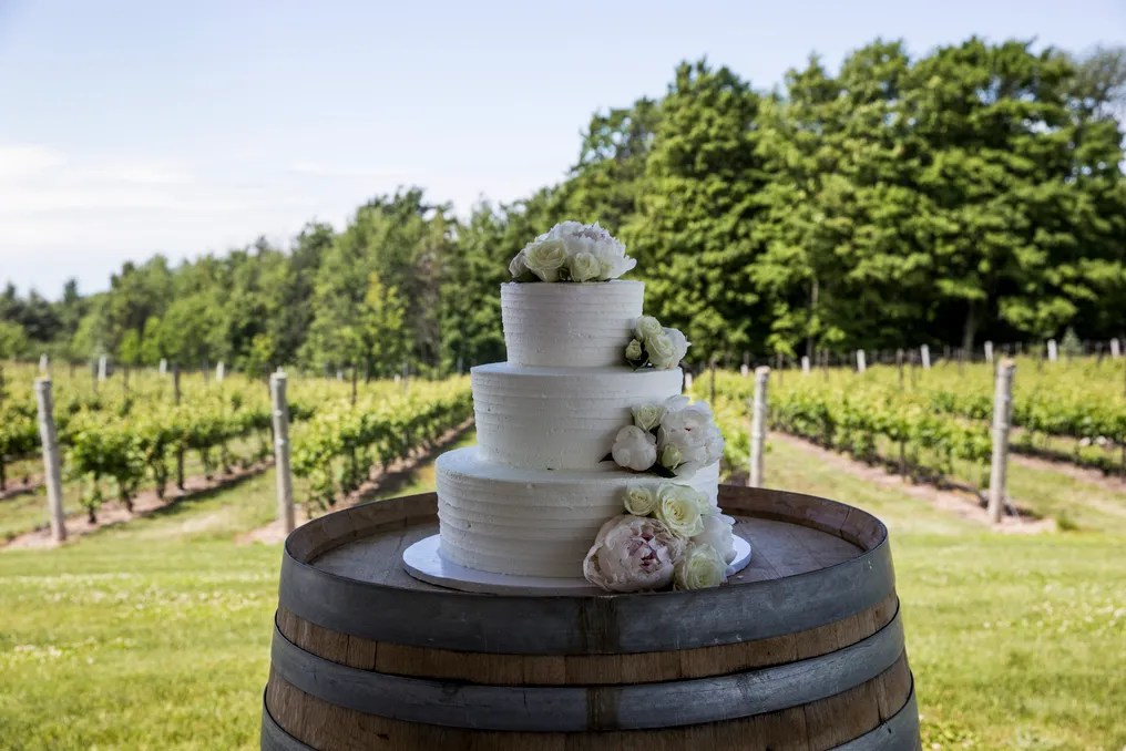 The Ridge at Verterra Vineyards #27