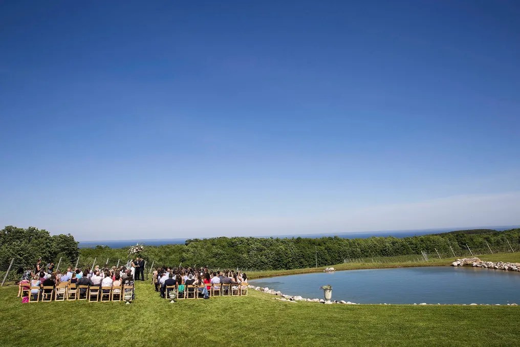 The Ridge at Verterra Vineyards #40