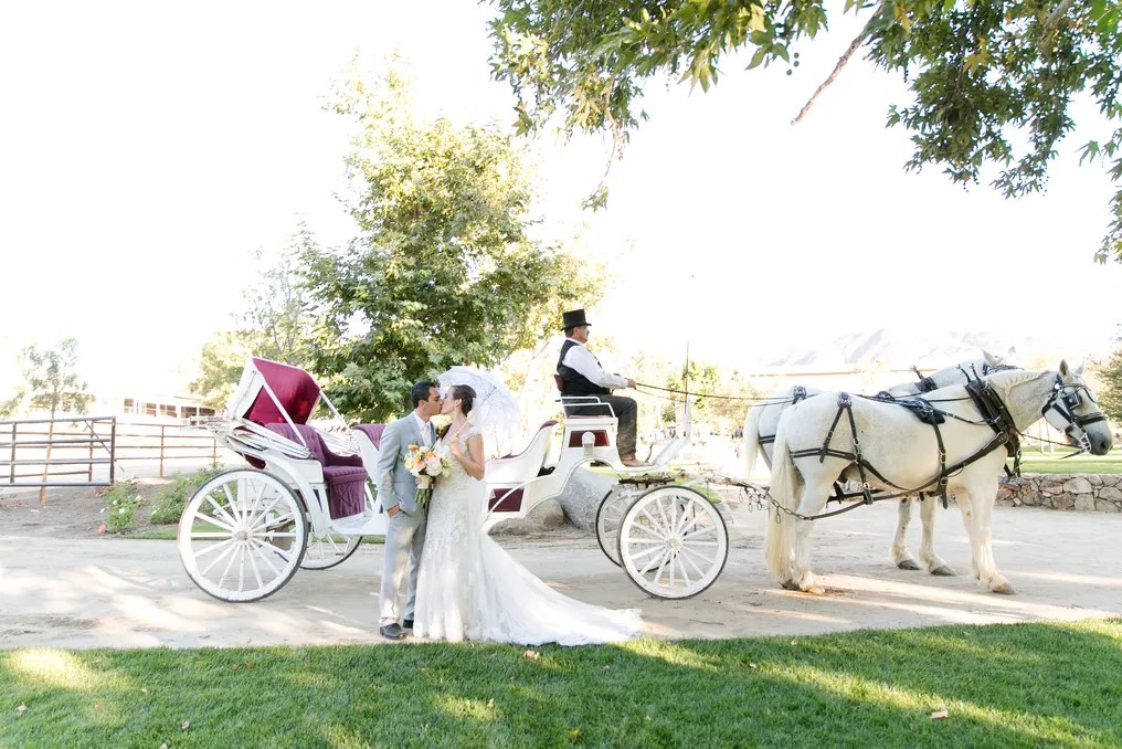 Galway Downs by Wedgewood Weddings #27