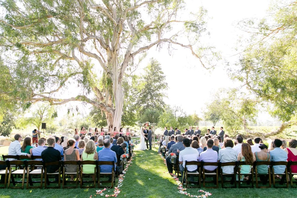 Galway Downs by Wedgewood Weddings #41