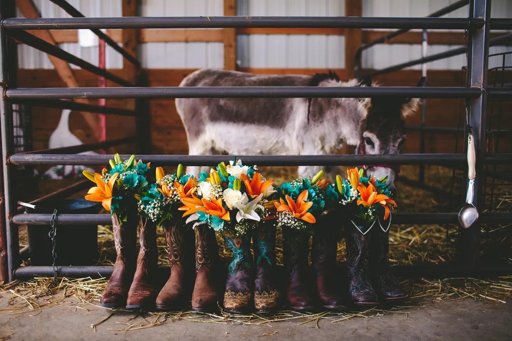 The Gathering Barn at Busy Barns Adventure Farm #11