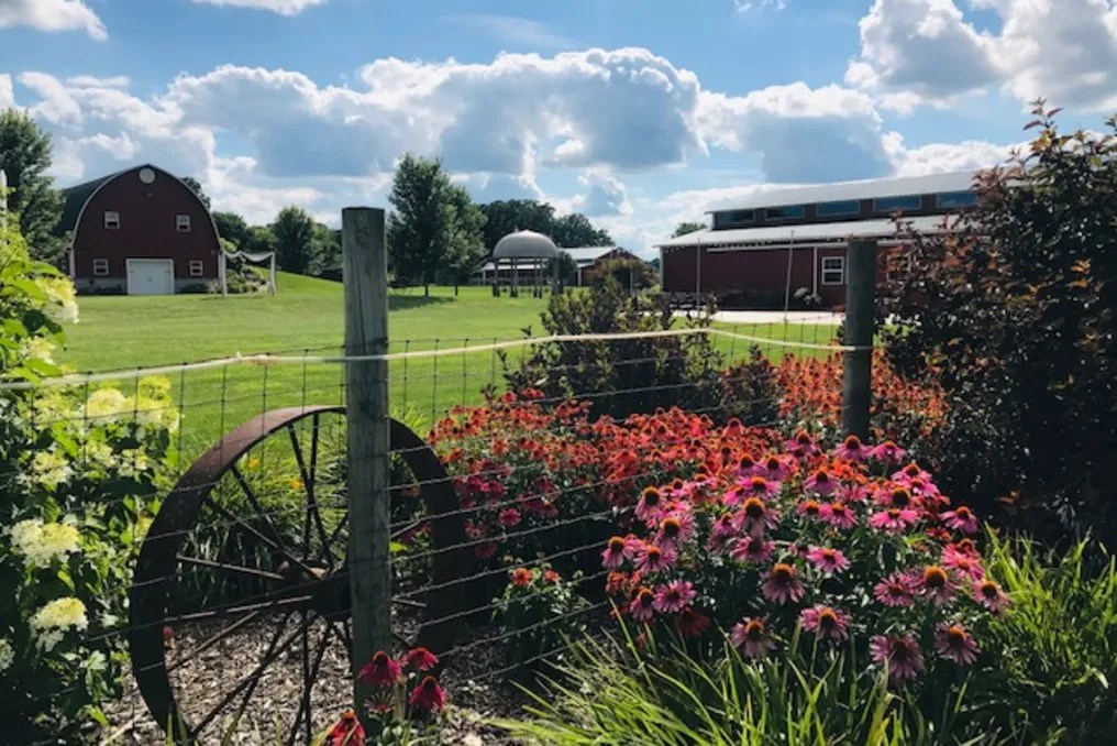 The Gathering Barn at Busy Barns Adventure Farm #53
