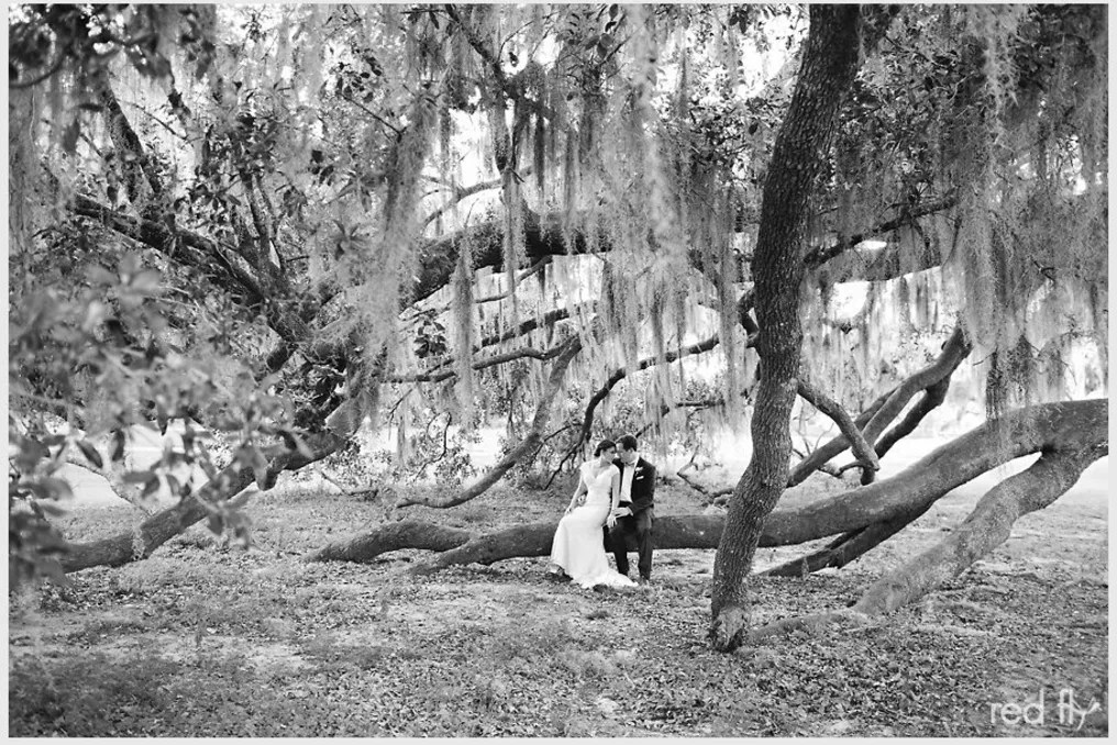 The Ball House and Cottages at SouthWood #50