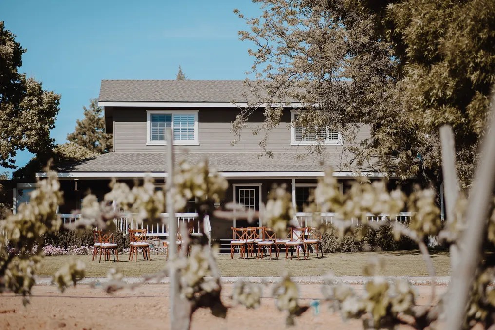 Vinyl Vineyards #2