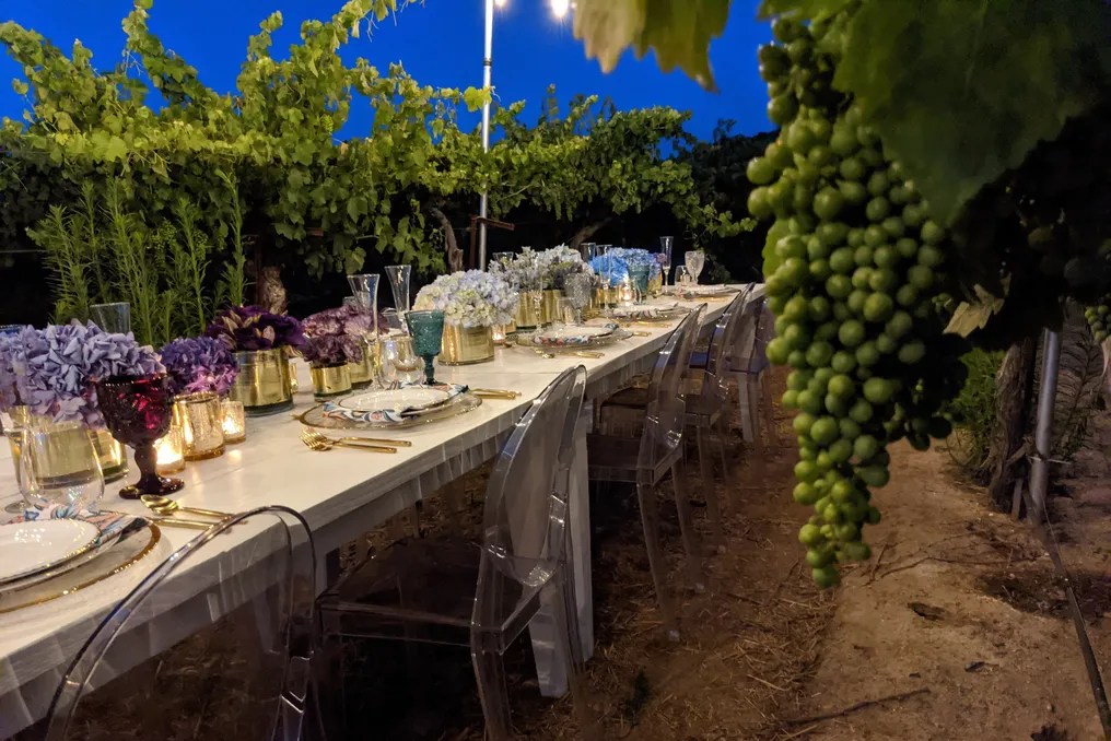 Vinyl Vineyards #10