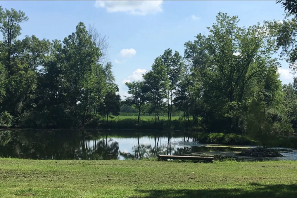 Hidden Waters #19