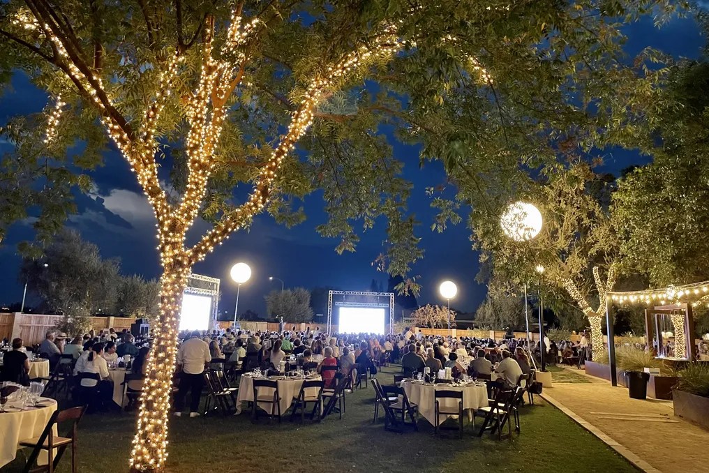 The Woodlands #25