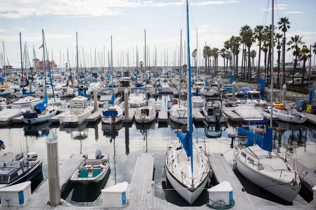 Bluewater Grill - Redondo Beach #10