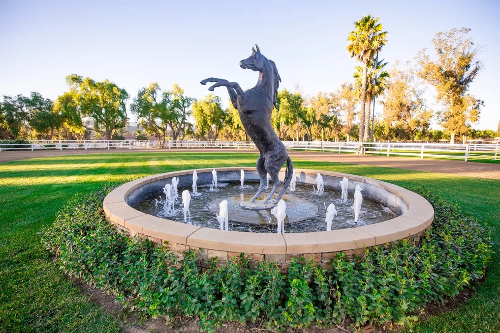 Southern California Equestrian Center #8