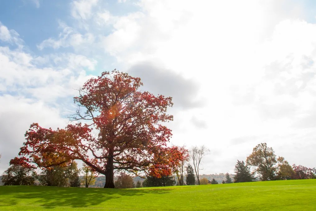 The Country Club of Harrisburg #4