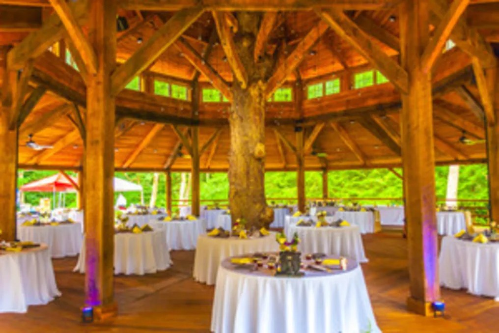 Fernstone Retreat #5