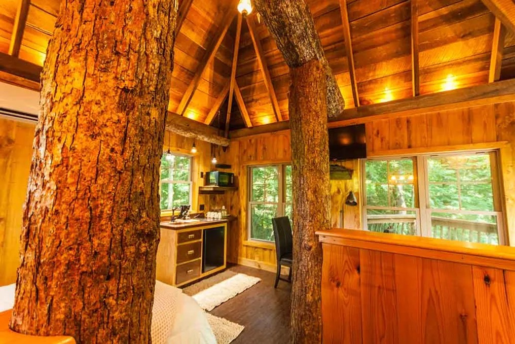 Fernstone Retreat #58