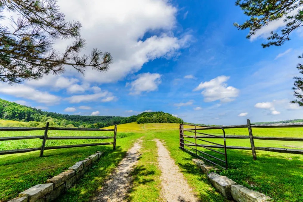 Fernstone Retreat #78