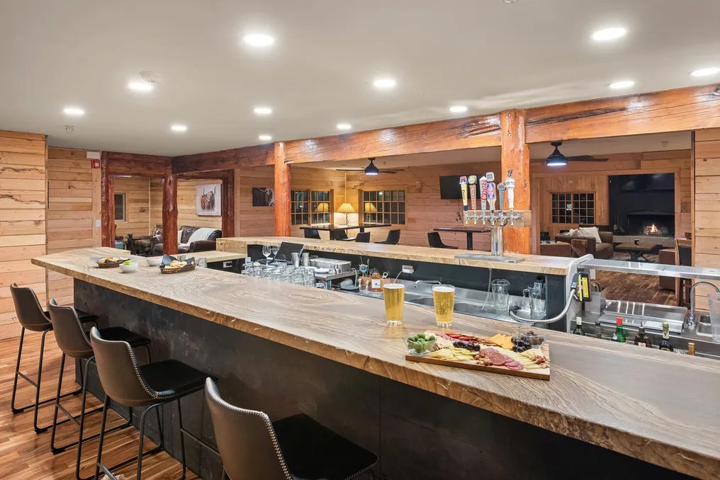 Electric Mountain Lodge #1