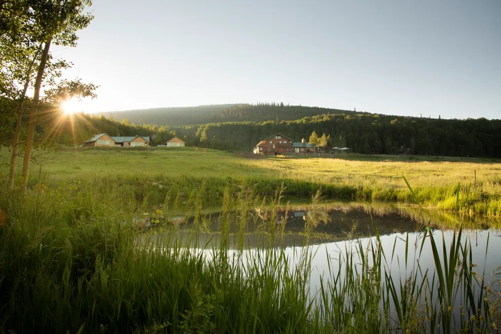 Electric Mountain Lodge #14