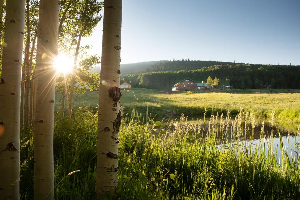Electric Mountain Lodge #16