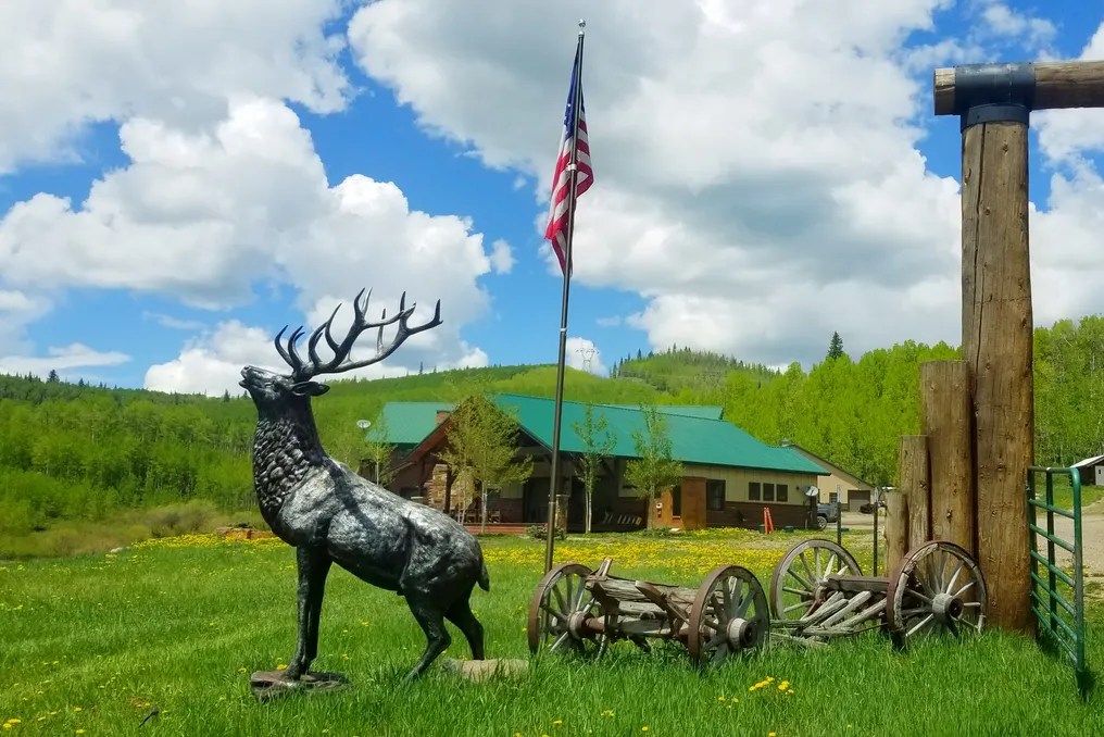 Electric Mountain Lodge #40