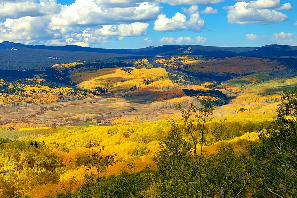 Electric Mountain Lodge #53