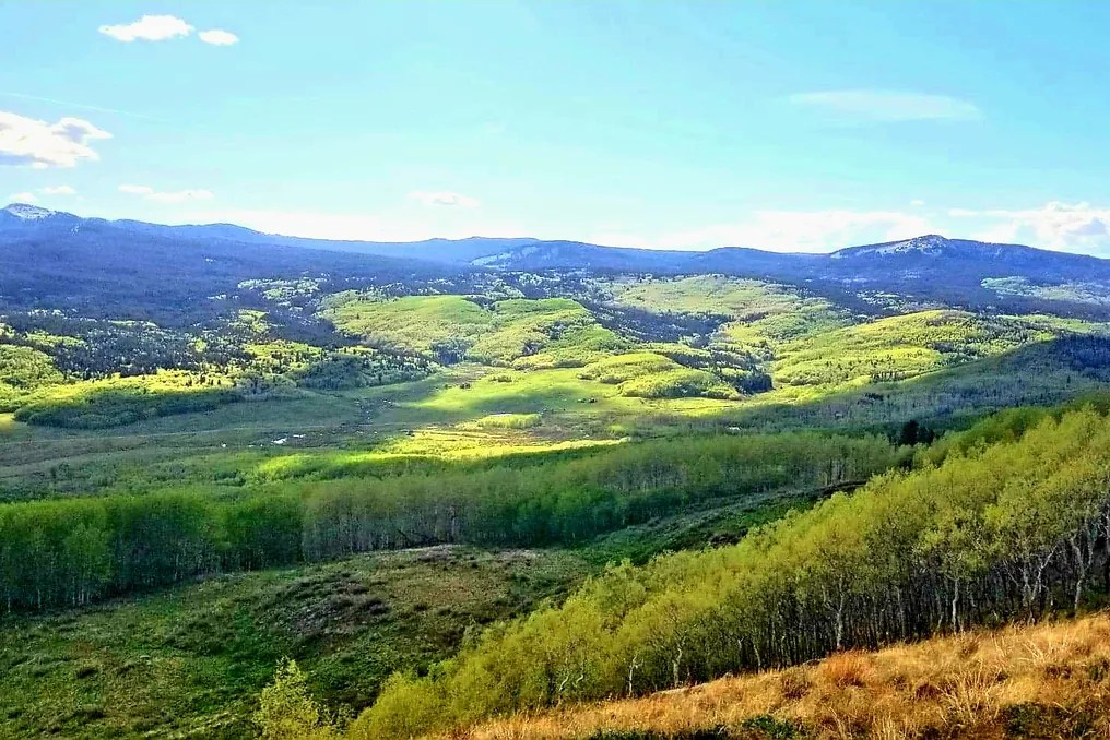 Electric Mountain Lodge #54