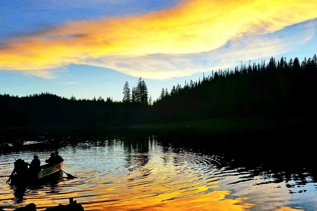 Electric Mountain Lodge #55