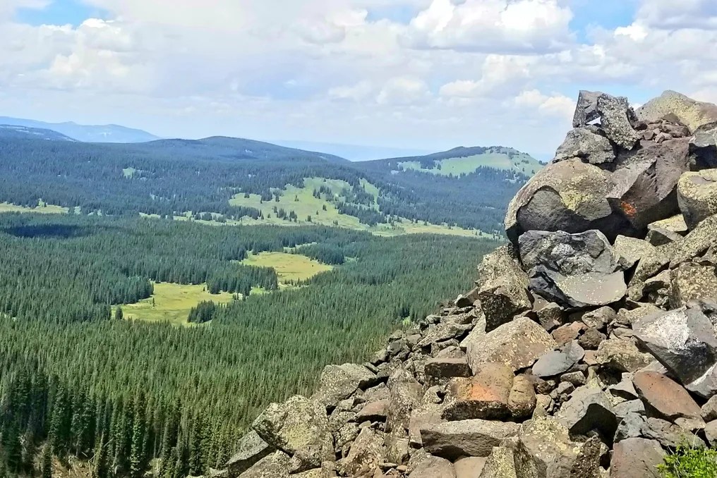 Electric Mountain Lodge #57