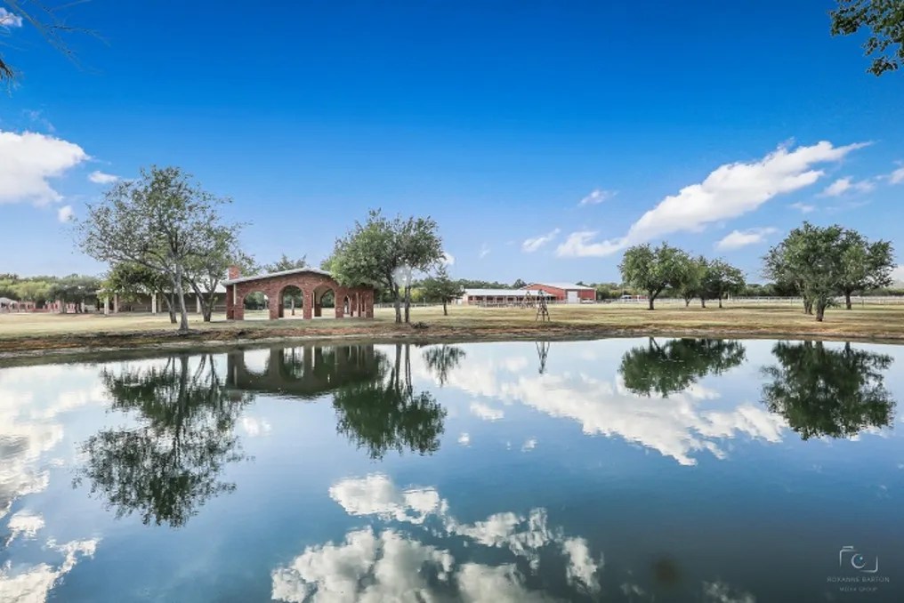 The Dream Ranch #14