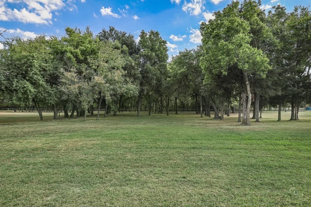 The Dream Ranch #15