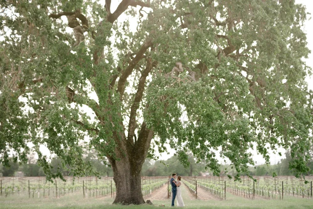 Gramm Vineyards #19