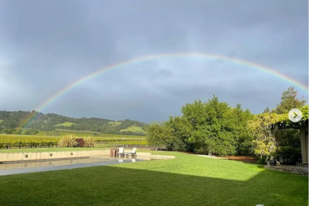 Gramm Vineyards #27