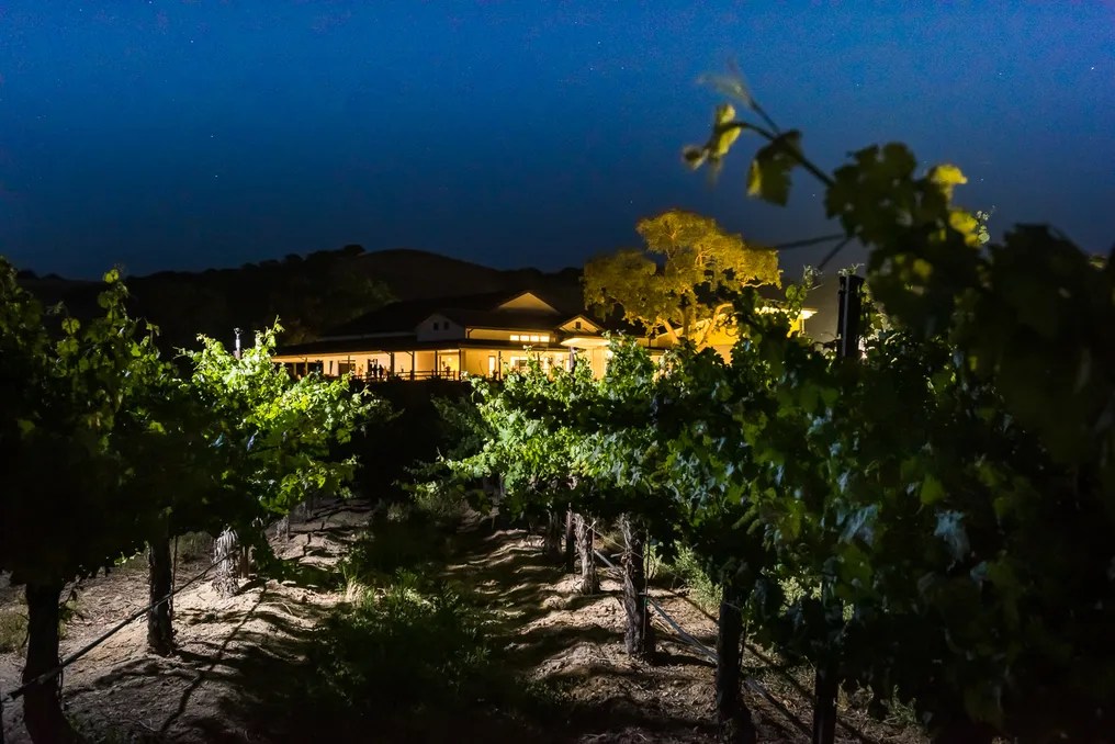 Cass Winery and Vineyard #46
