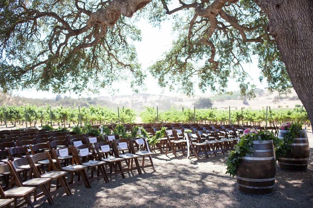 Cass Winery and Vineyard #48