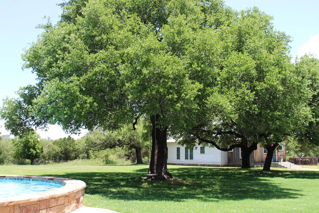 Antelope Creek Farms #18