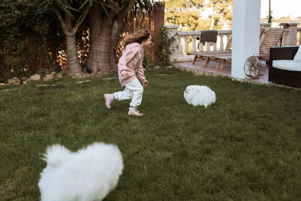 Premium Artificial Grass Installation Services in San Mateo