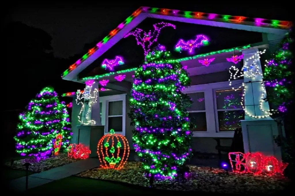 Professional Outdoor Lighting Installation Services in East Flatbush