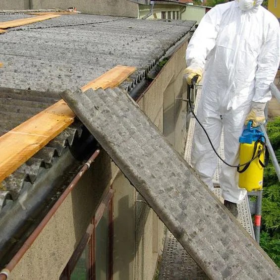 Bergo Environmental Asbestos Removal Services in Mason City, IA