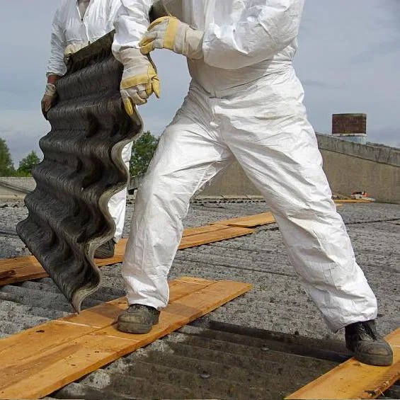 Bergo Environmental Asbestos Removal Services in Mason City, IA
