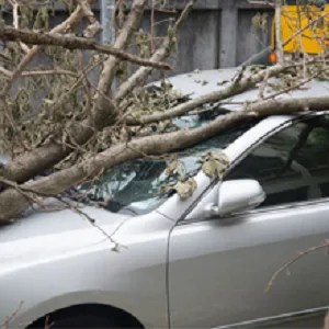 Timothy Morgan - Trusted Auto Insurance Provider in Portland, OR