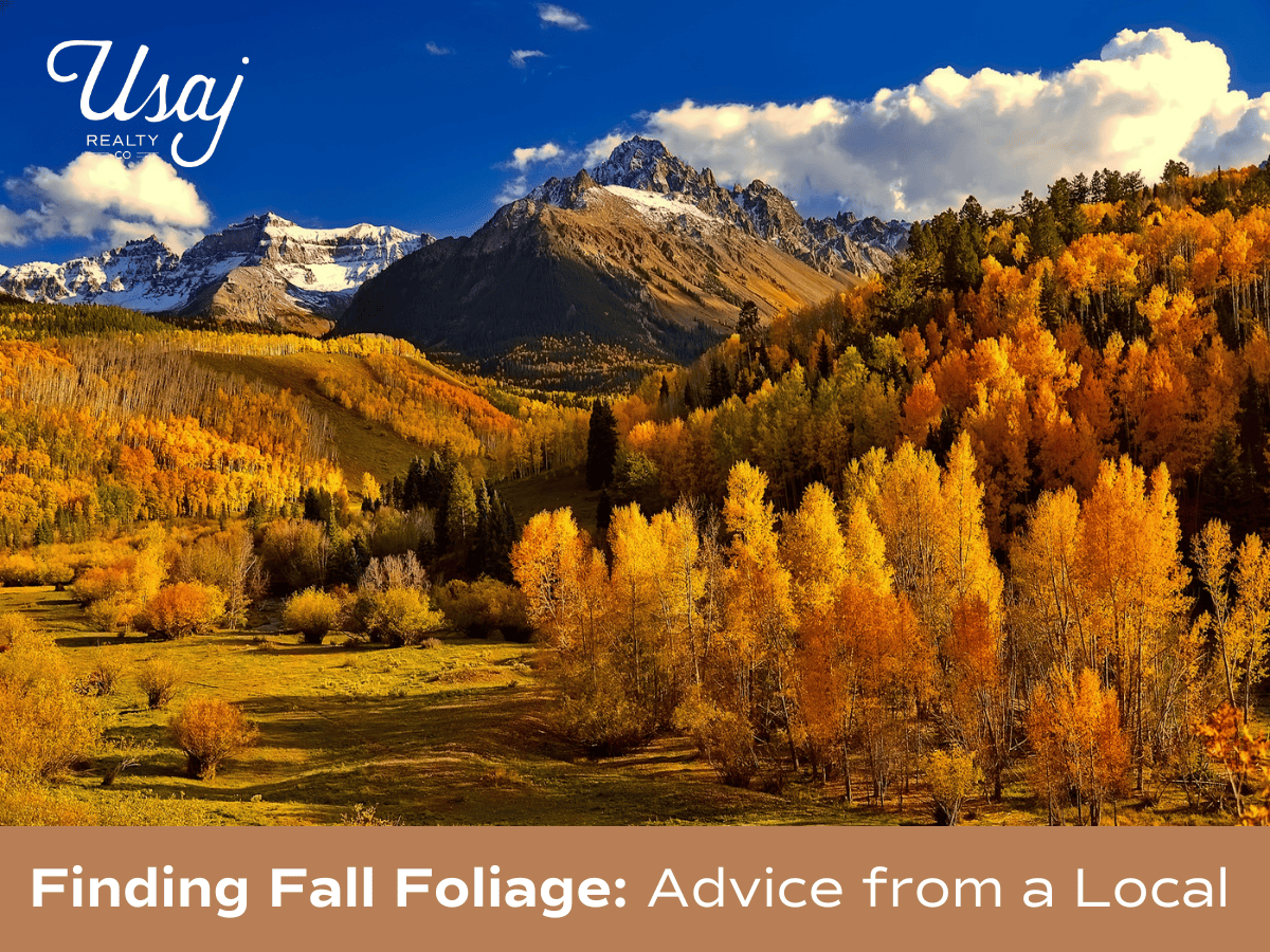 Colorado Fall Foliage 2026 Guide Best Places For Leaf Peeping Blog Feature Photo 75 