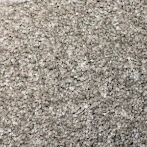 Taupe-gray plush carpet installation
