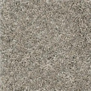 Light gray-beige plush carpet sample