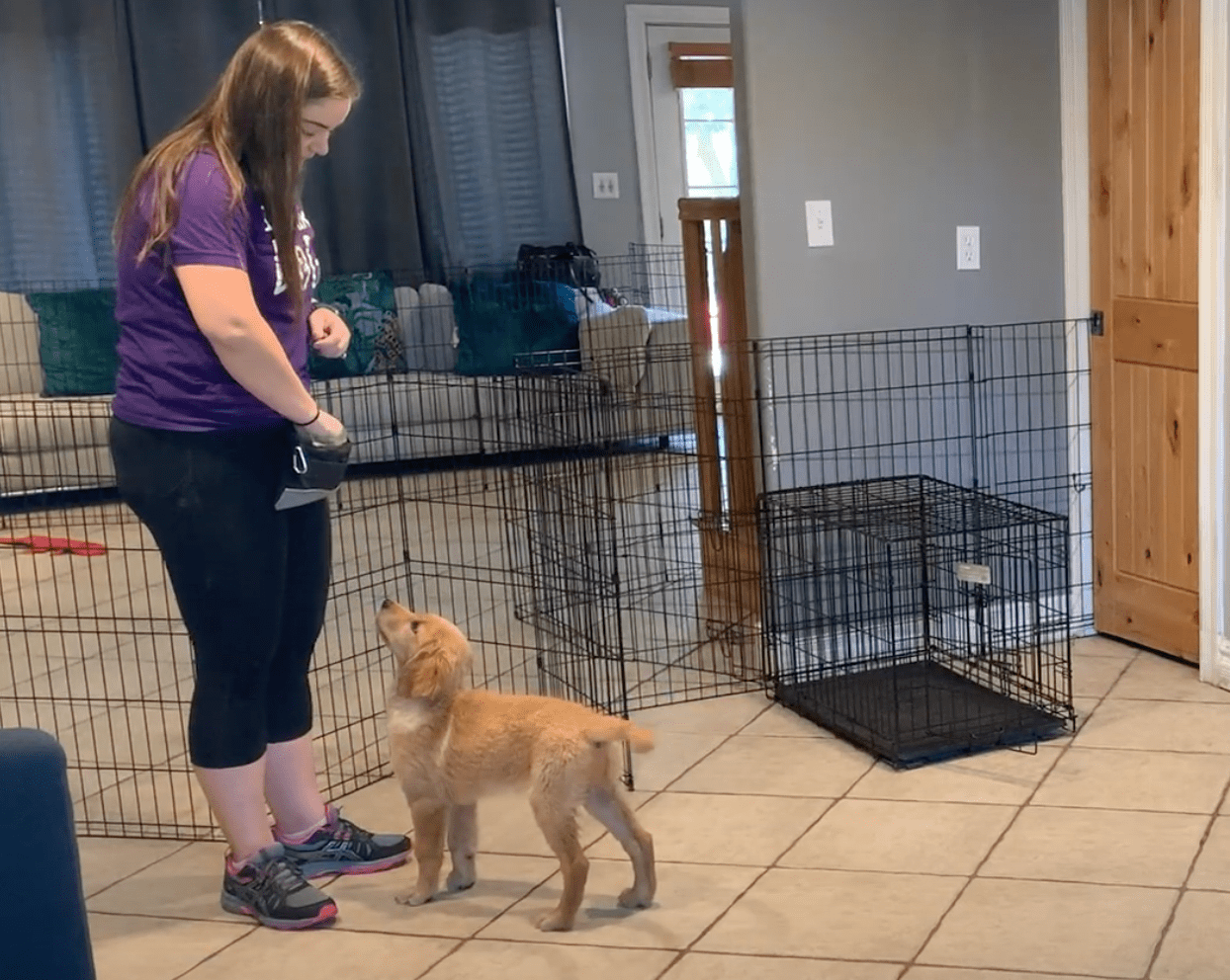 Services:puppy boot camp