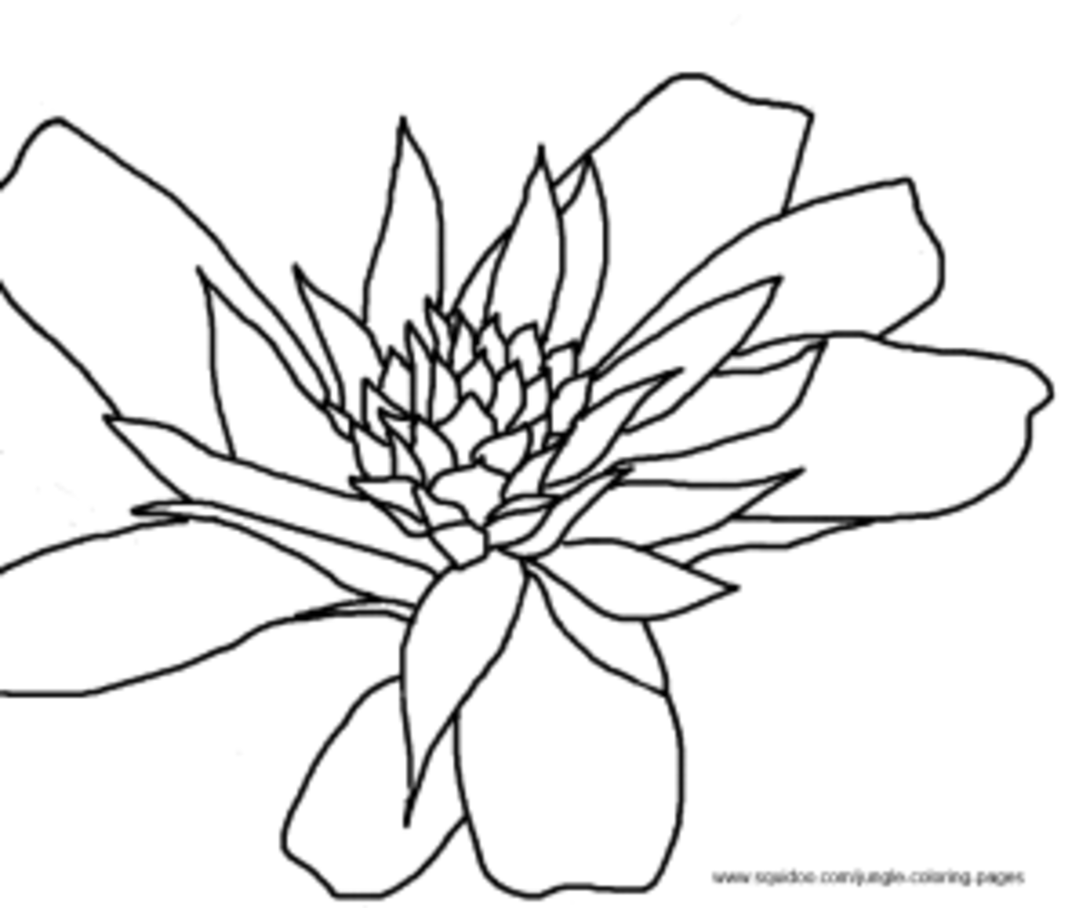 Some people even collect it in a form that has been preserved. Colornimbus.com 6k followers more information Jungle Coloring Pages | HubPages