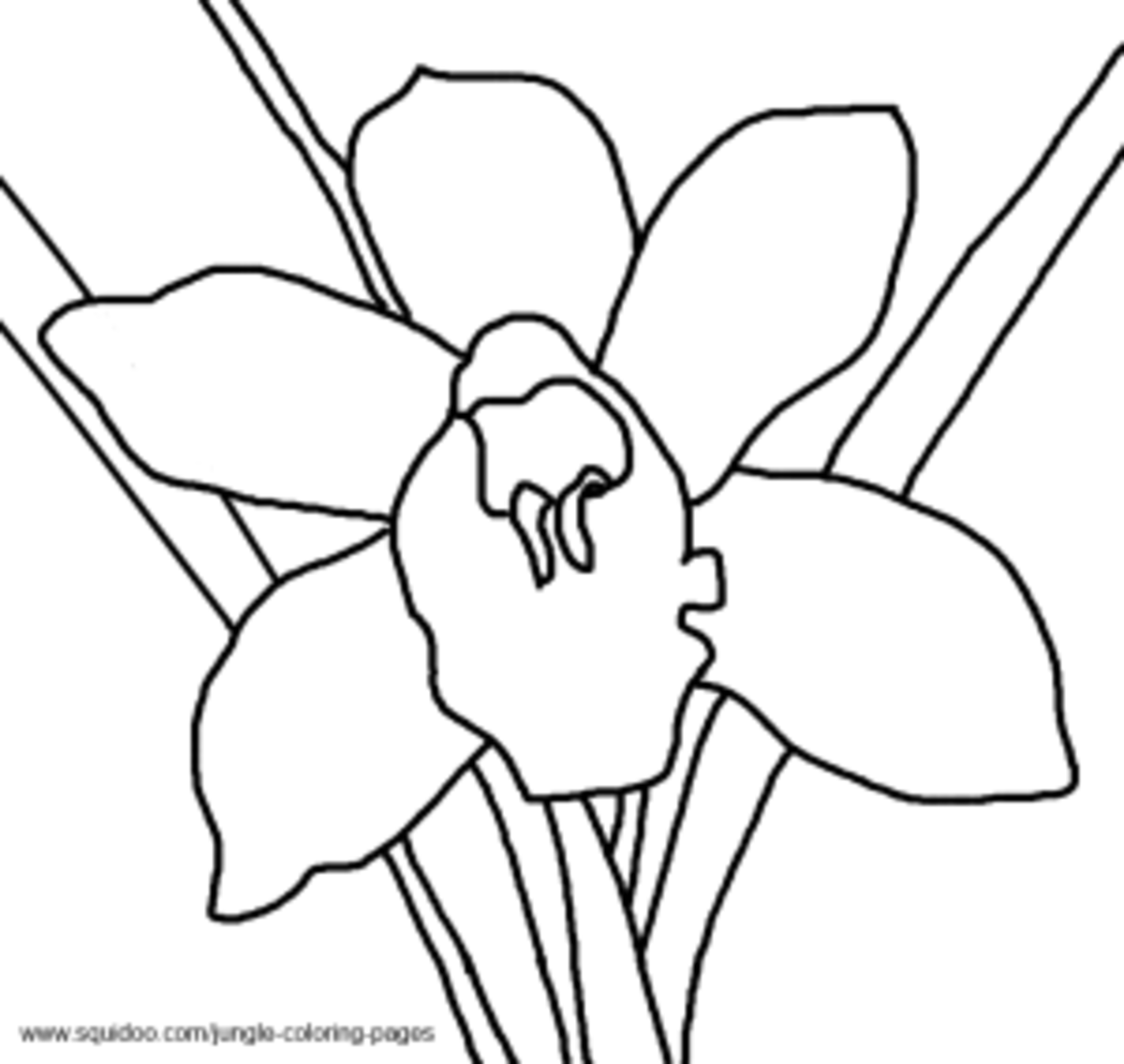 The butterfly is eaten by the toucan. Jungle Coloring Pages | HubPages