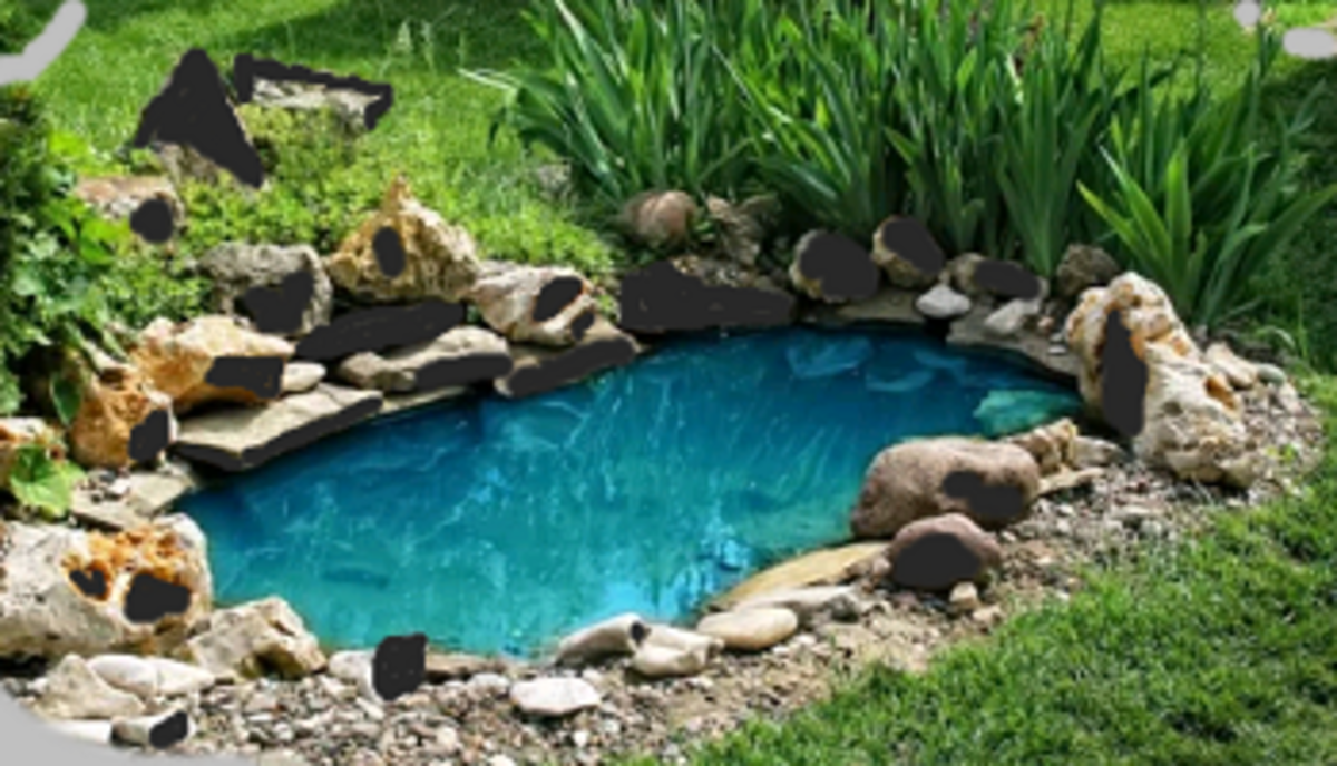 how to keep your pond clean and free of leaves, mud, and other waste on how to keep water clear in outdoor fountain